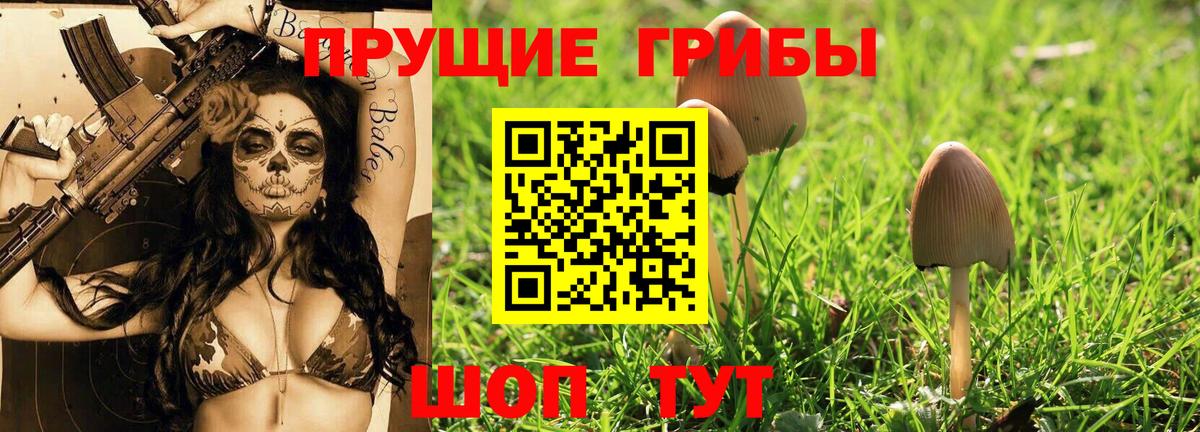 Галлюциногенные грибы MAGIC MUSHROOMS  Вход с VPN  Тольятти 
